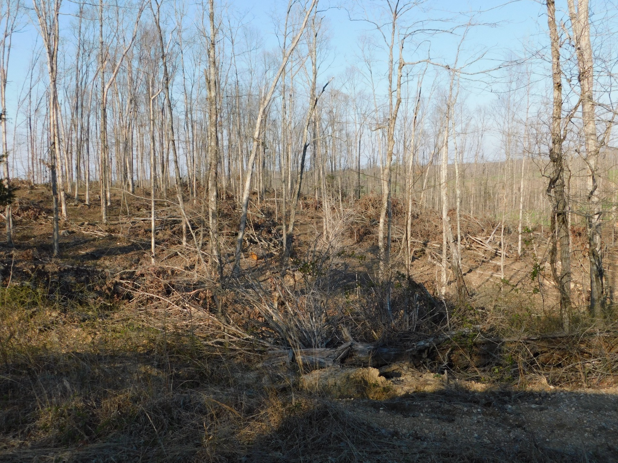 0 Lucas Ridge Road