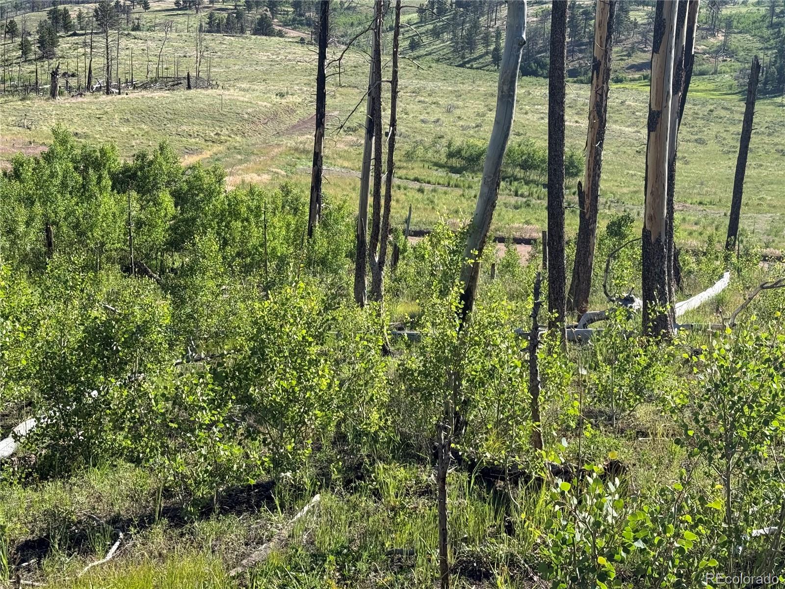 Lot 775 Forbes Park Road