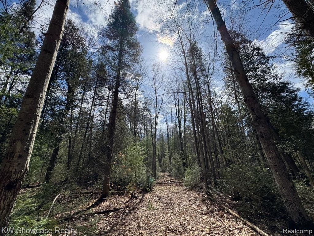 Over 17 acres of fabulous waterfront wooded land. Nature at its finest.  Build your dream home on a bluff overlooking Little Bear Creek with an abundance of privacy and breathtaking views. Mature cedar, red & white pine trees  with cleared trails leading to beautiful Little Bear Creek.  Enjoy hunting, snowmobiles, hiking and nature plus just 5 minutes from all sports Houghton Lake. Shopping, dining, golfing and multiple public boat launches and sandy beaches within minutes for your enjoyment. High speed fiber optic cable at road, electrical lines with RV hook-up on property, shallow well hand pump existing, and award winning Houghton Lake school district. Sunset views over creek, perfect for walk-out basement.