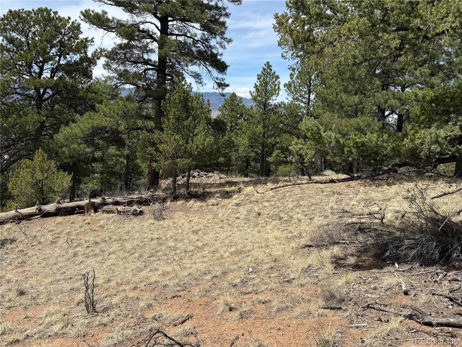Lot 152 Tahmoush Lane