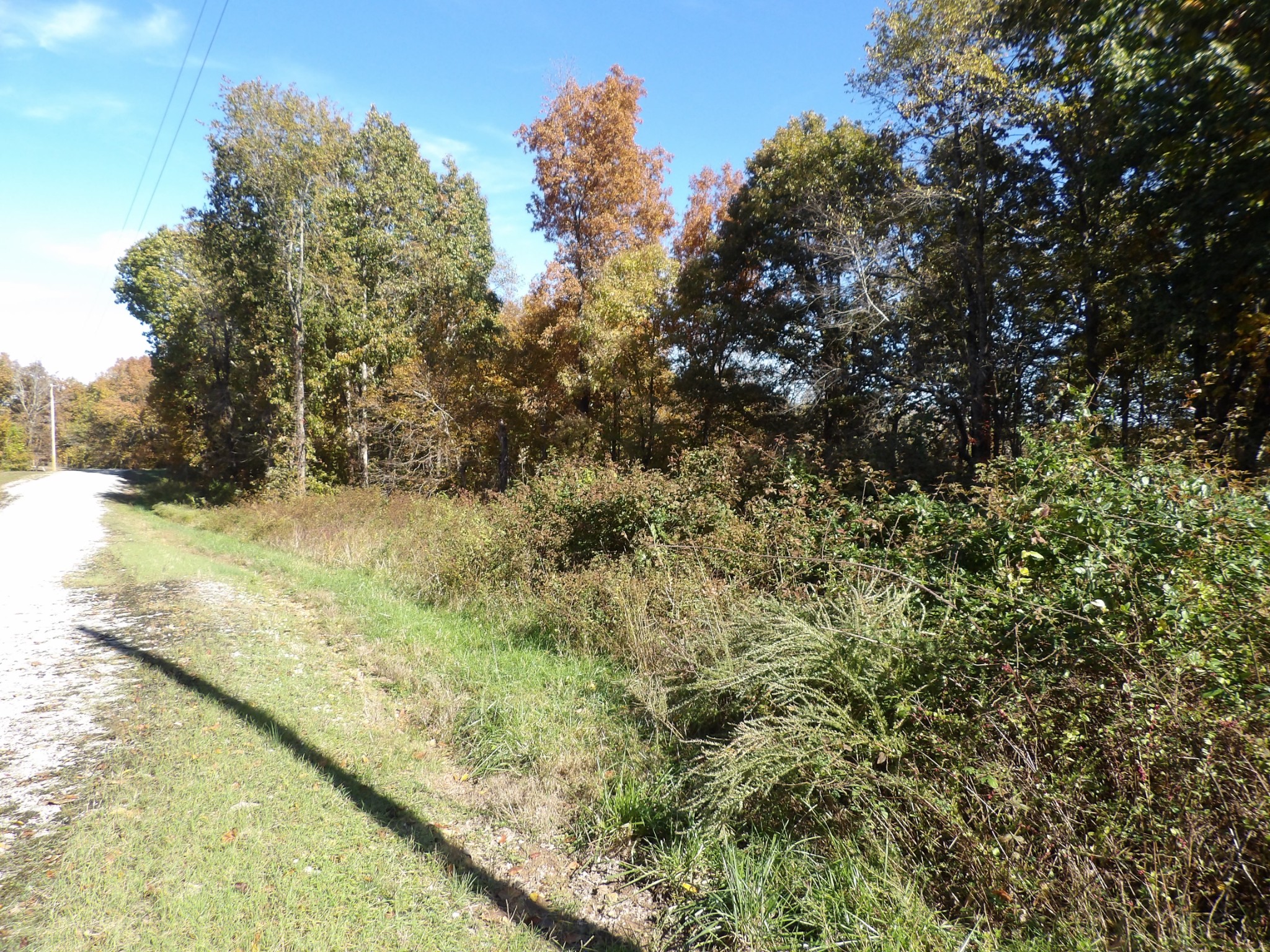 0 Overview Lane