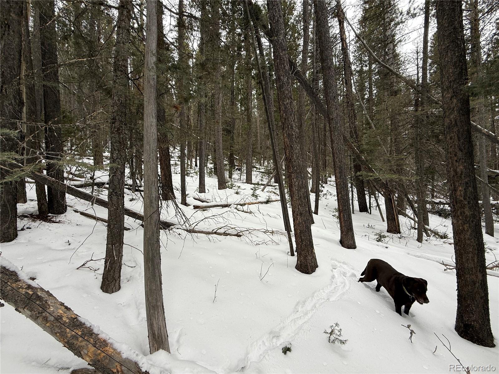 Lot 2806 Moir Drive