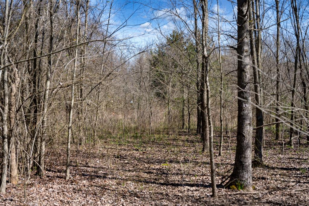 800 County Road 2390