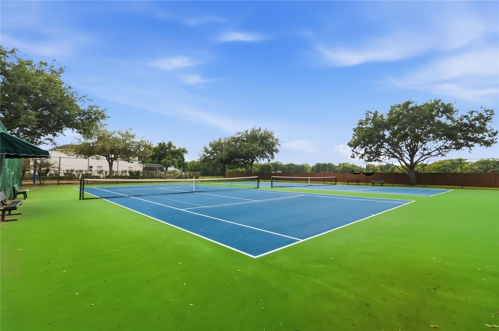 1925 Breezy Hill Drive Windermere Florida 34786