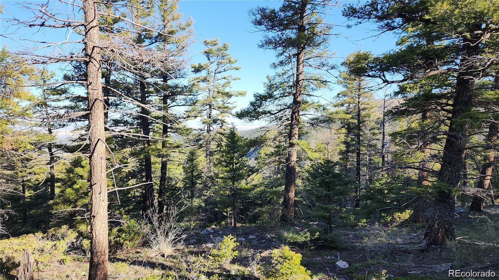 Lot 6070 Vreeland Road