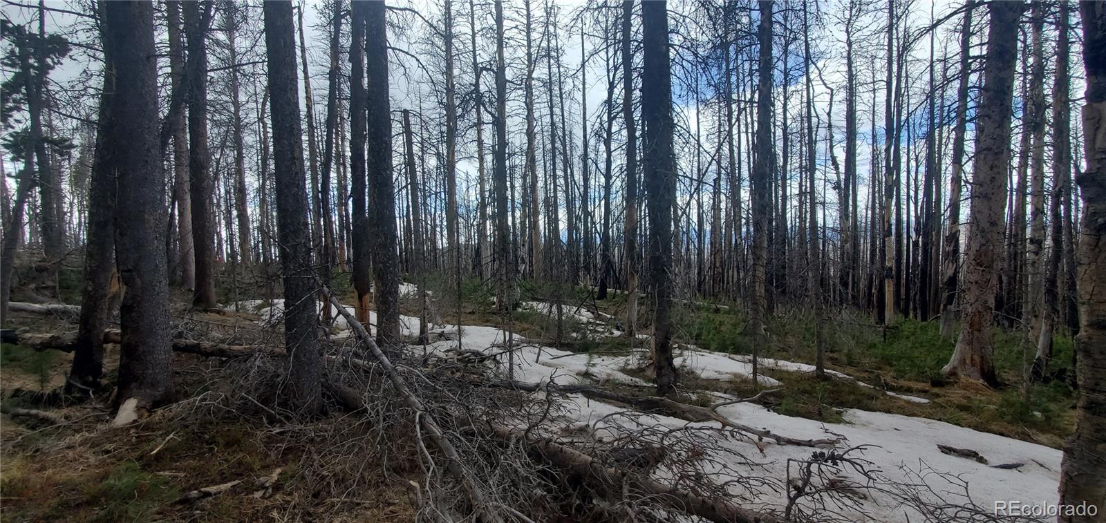 Lot 2738 Newman Place
