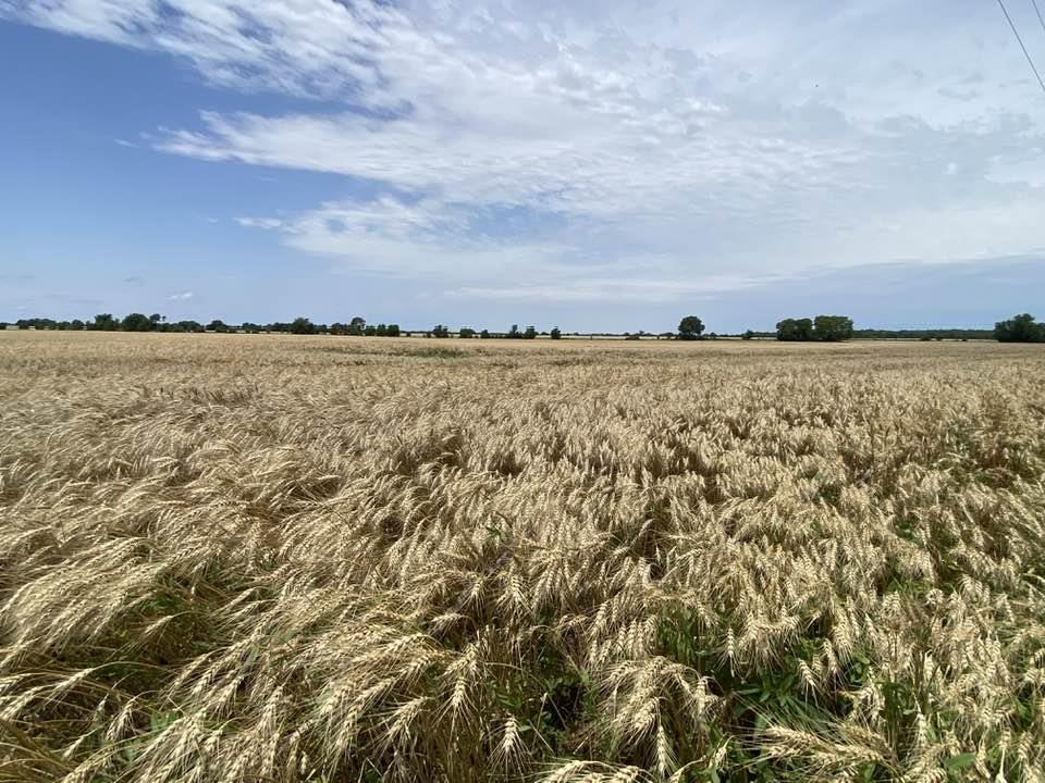 000 S 103rd St W/Maize Rd