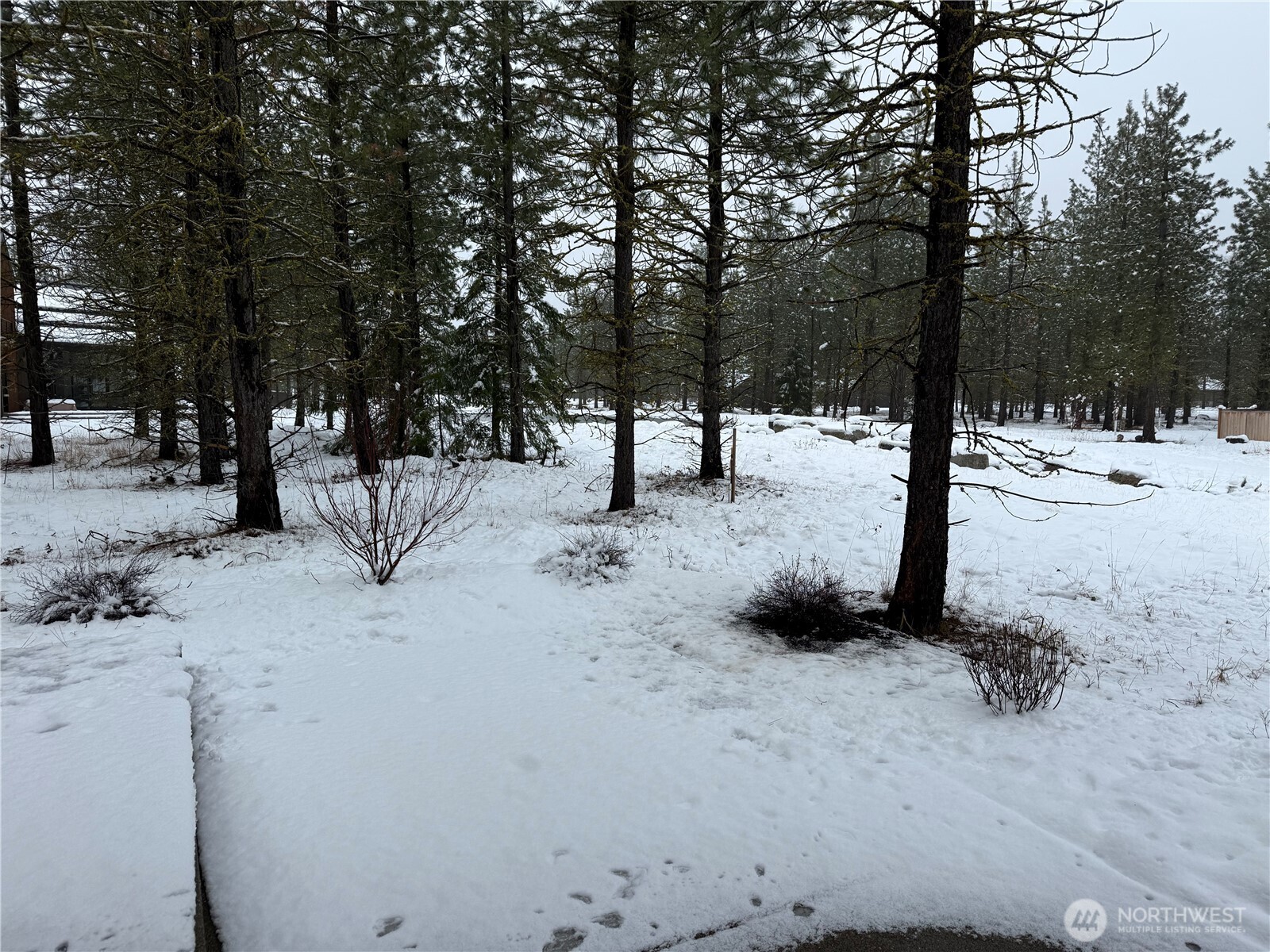 *Progress photo as of 11/26