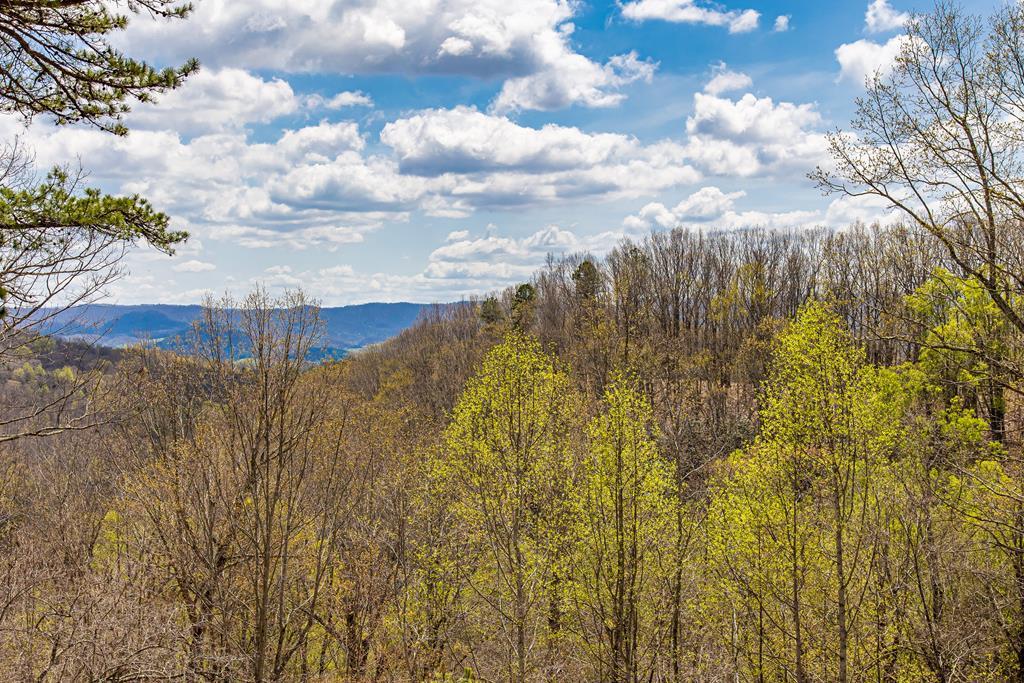 PRICED FOR QUICK SALE! This combined land/business investment opportunity property boasts 40 acres of developed adventure tourism land. Consists of 3 lots with nearly a mile of ziplines through five sections. The lot numbers included in the sale are 45-A-99A, 45-A-97 and 45-A-96D. Adjacent to Hungry Mother State Park, this property would be great for a campground, adventure destination or a private homestead. Nearby attractions include Hungry Mother State Park, the historic towns of Marion and Abingdon and Grayson Highlands State Park. Proof of funds will be required for additional information and viewing. There are two working vehicles and two storage containers on the property that will convey with the sale as well as all equipment in the two stick built structures on the property. The condition of the ziplines would need to be verified by buyer and buyers agent. All information deemed reliable. Buyer and buyers agent to verify.
