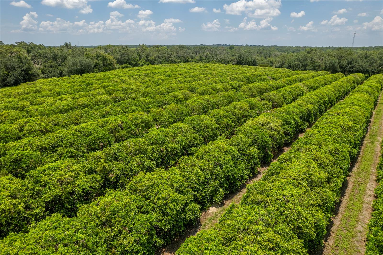 Lots and Land for sale in Myakka City, Florida, C7477614