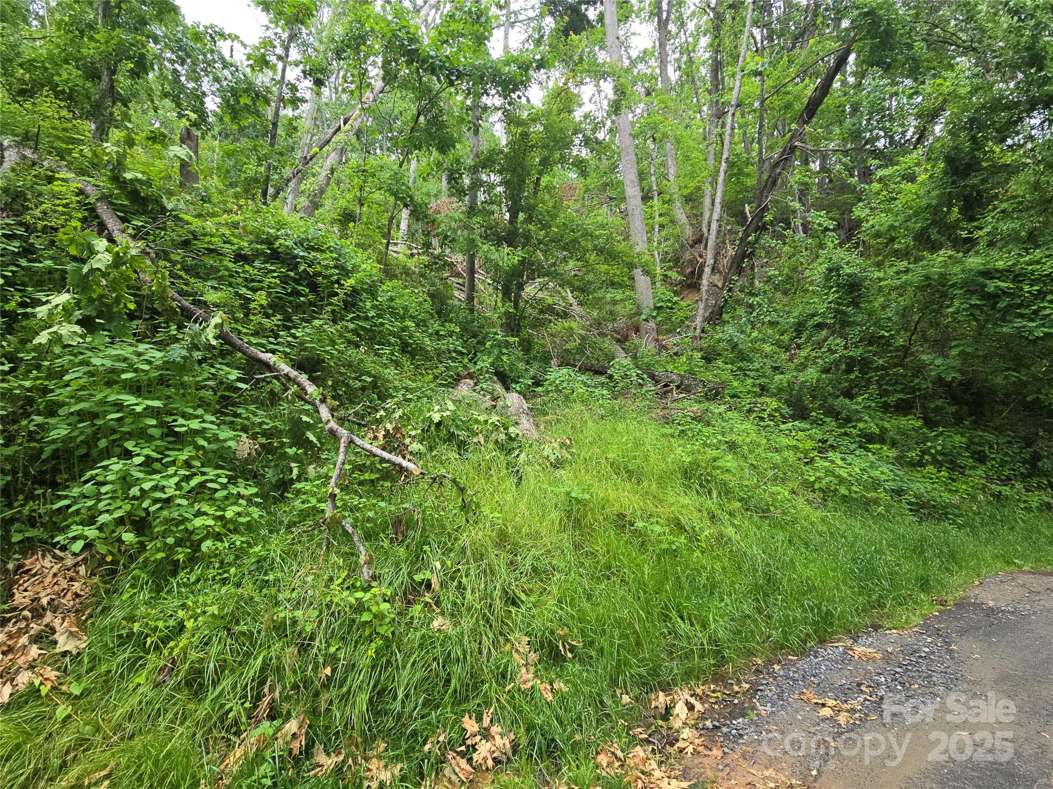 Build Your Dream Home on 5.18 Acres in Fairview Forest

Nestled in the heart of the sought-after Fairview Forest Subdivision, this 5.18-acre private wooded lot offers the perfect blend of seclusion, natural beauty, and convenience. Surrounded by over 700 acres of preserved land, the community features scenic walking trails through lush woods and along a tranquil creek.

Enjoy breathtaking mountain views, spacious lot sizes, and access to a community clubhouse—all within a peaceful mountain setting. Located just 3.3 miles from everyday essentials like the grocery store, post office, and bank, and close to local favorites such as Whistlehop Brewery, Trout Lily Deli & Market, and Hilltop Ice Cream for delicious homemade treats.

Adventure awaits only 7 miles away on the iconic Blue Ridge Parkway, making this the ideal spot for outdoor lovers.

Don't miss this rare opportunity to own a piece of paradise. Start building your mountain dream home today.