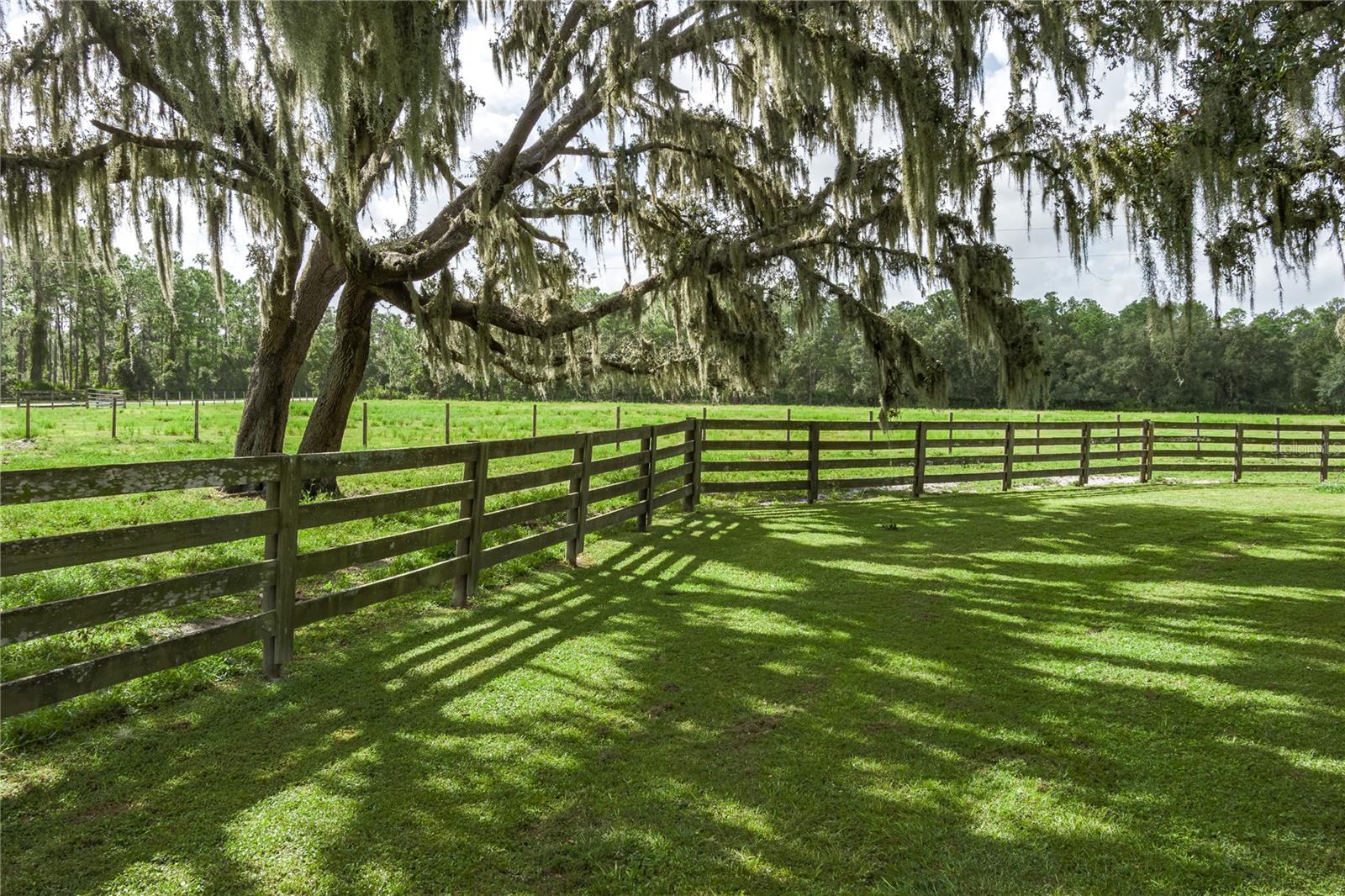 1126 County Road 665