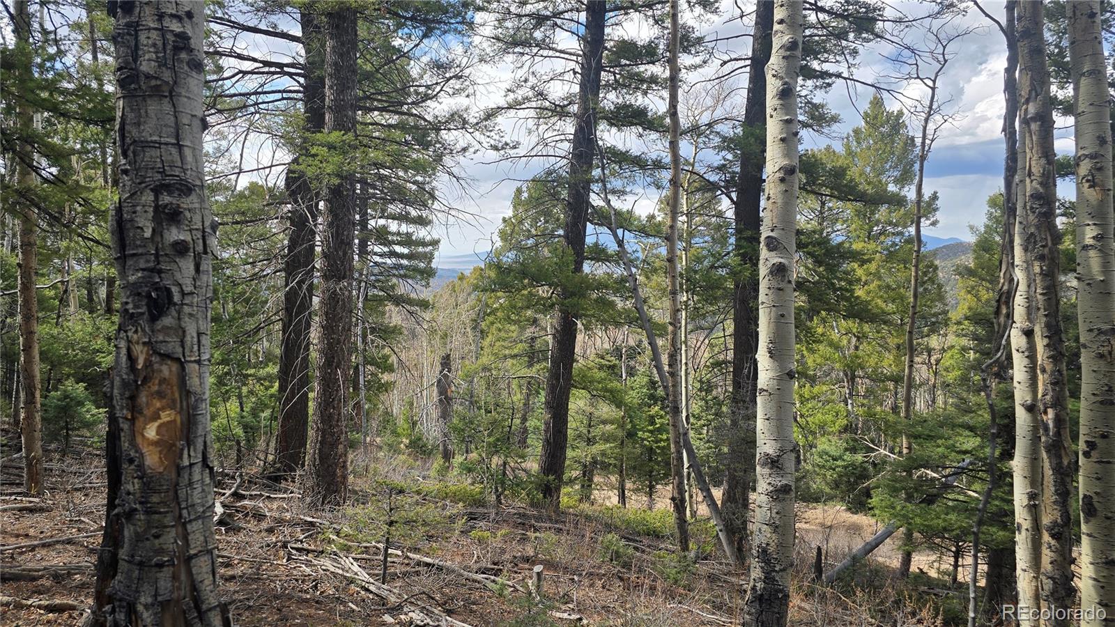 Lot 5261 Scott Road