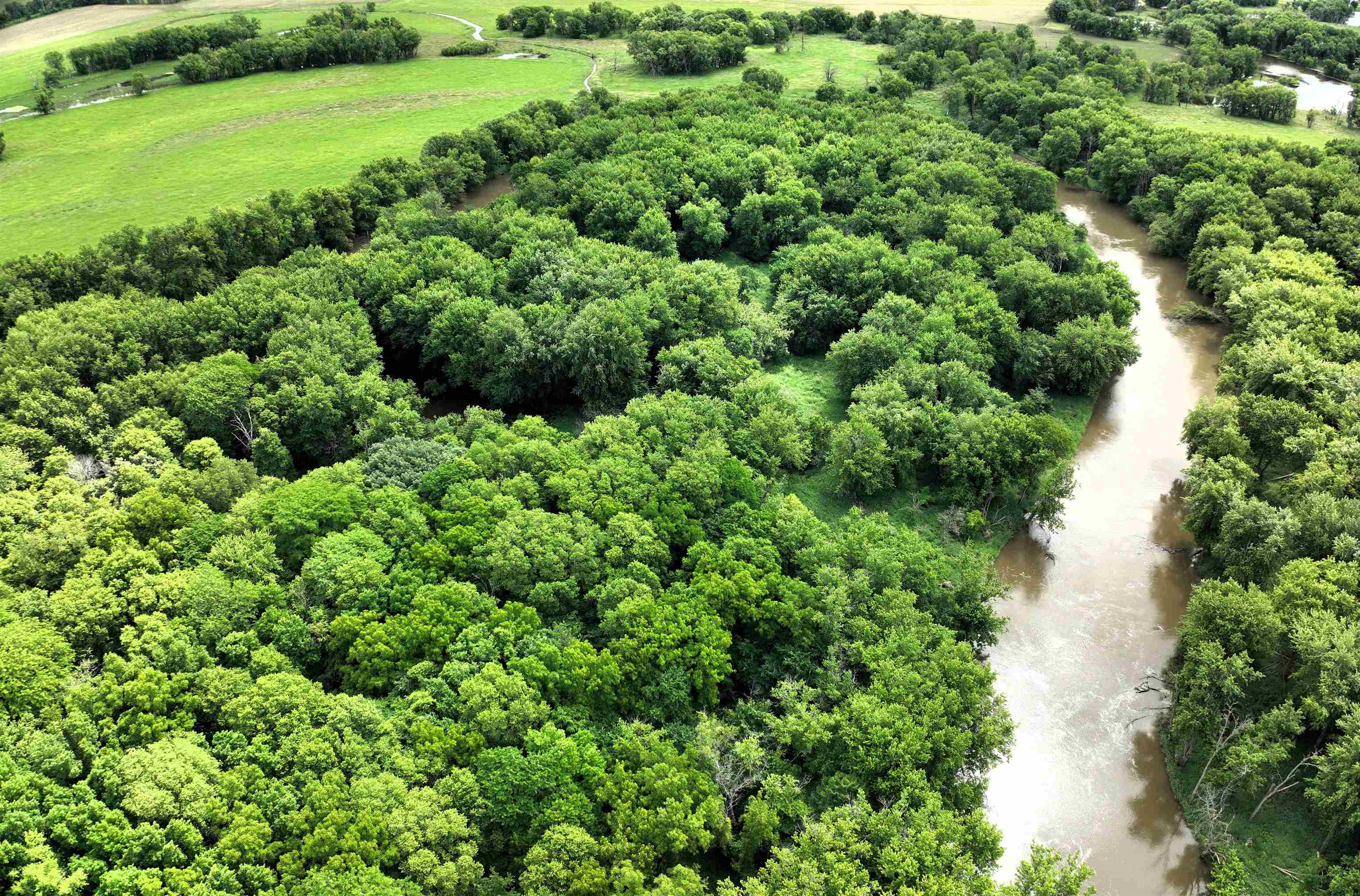 89.14 Acres Smokey Hollow