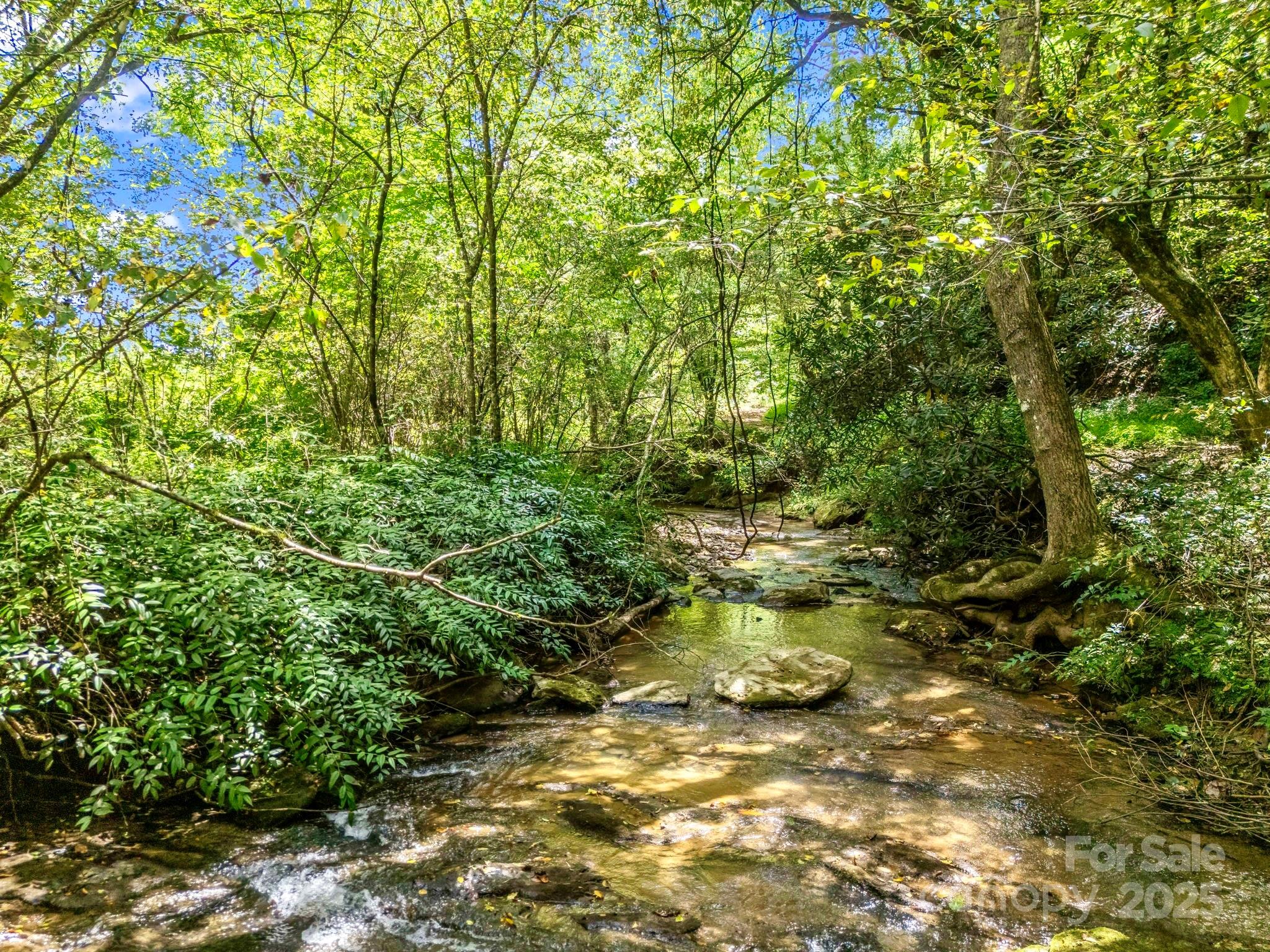 6022 Low Country Road