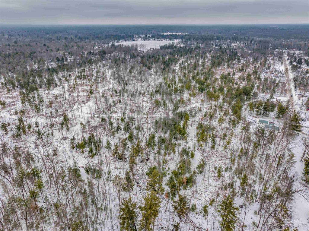 80 acres with endless possibilities. Currently its being used largely for recreation, heavy to the hunting side of things. Excellent habitat for white-tailed deer, ruffed grouse, and wild turkeys. Great oak regeneration and some mature oaks to provide mast until the next generation is ready to produce. Possible commercial opportunities for camping with so many inland lakes around the area, 4 different ones within a mile of the property!! Small unnamed stream flowing into the Feeding Ground Creek just off the southeast corner of the property.