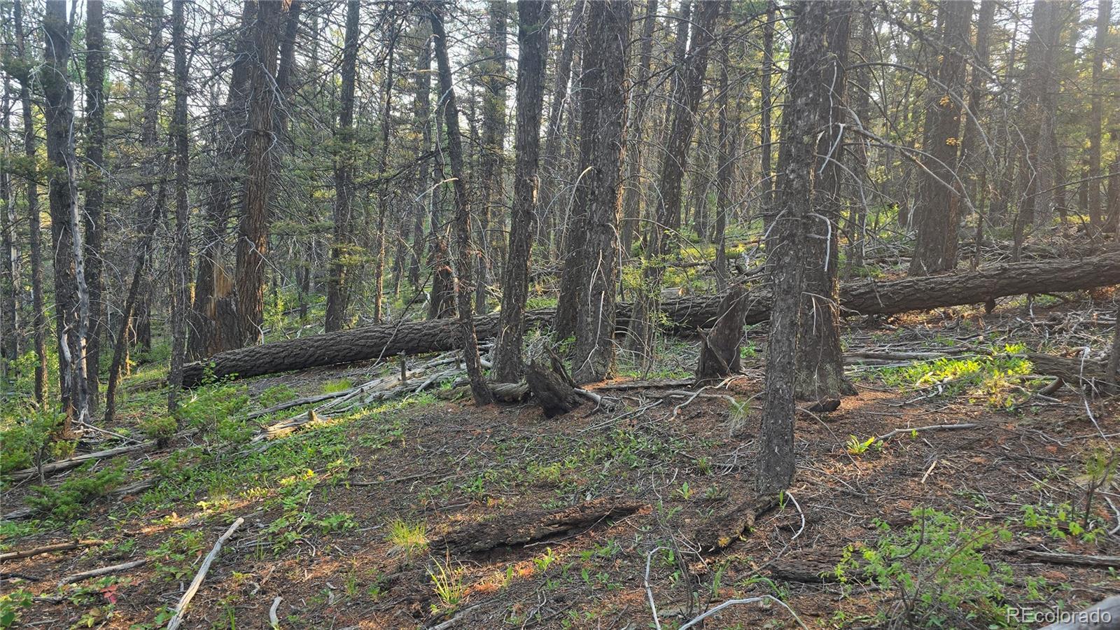 Lot 5768 Clawson Road