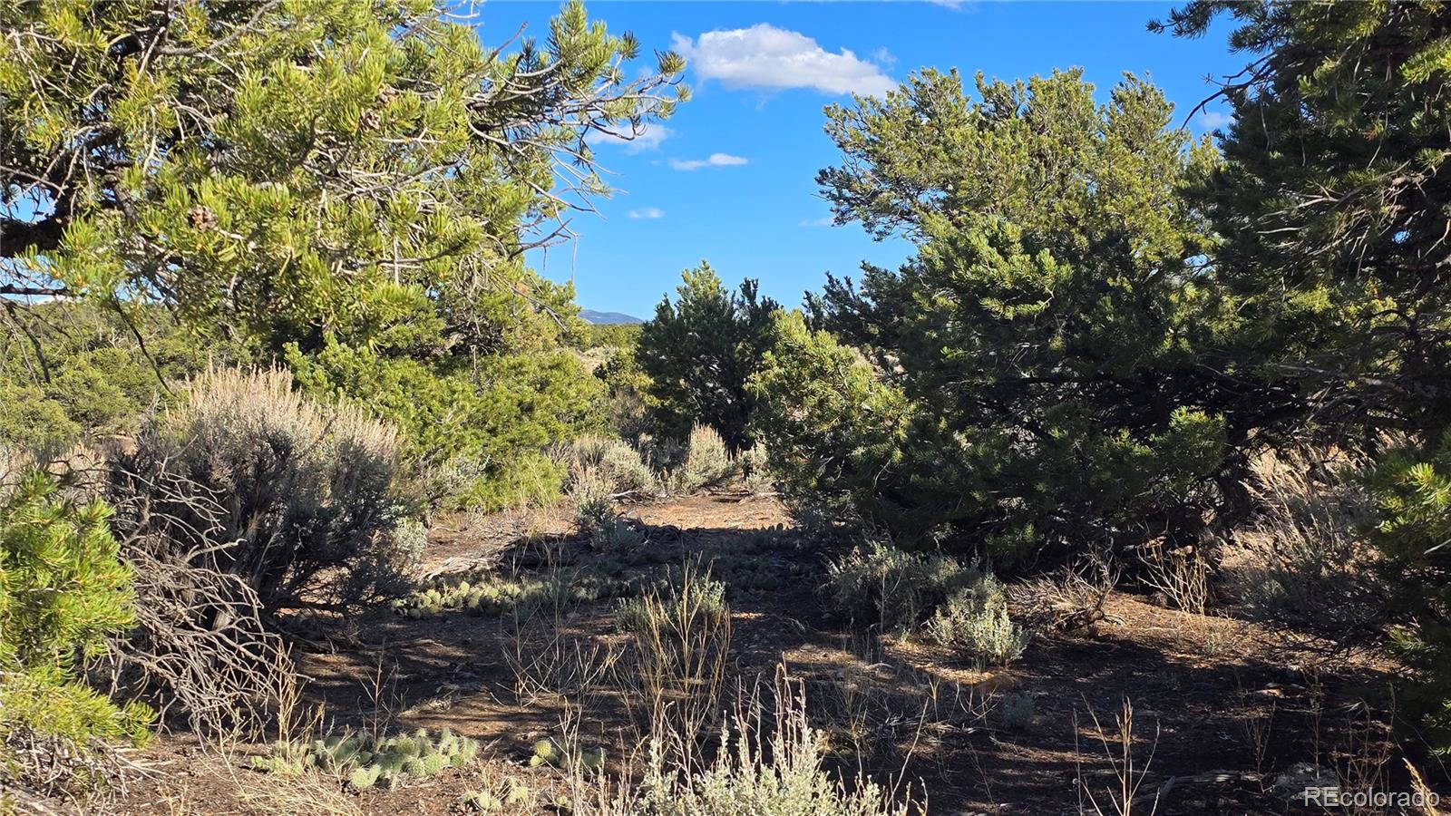 Lot 3886 & 3887 Galloway Road