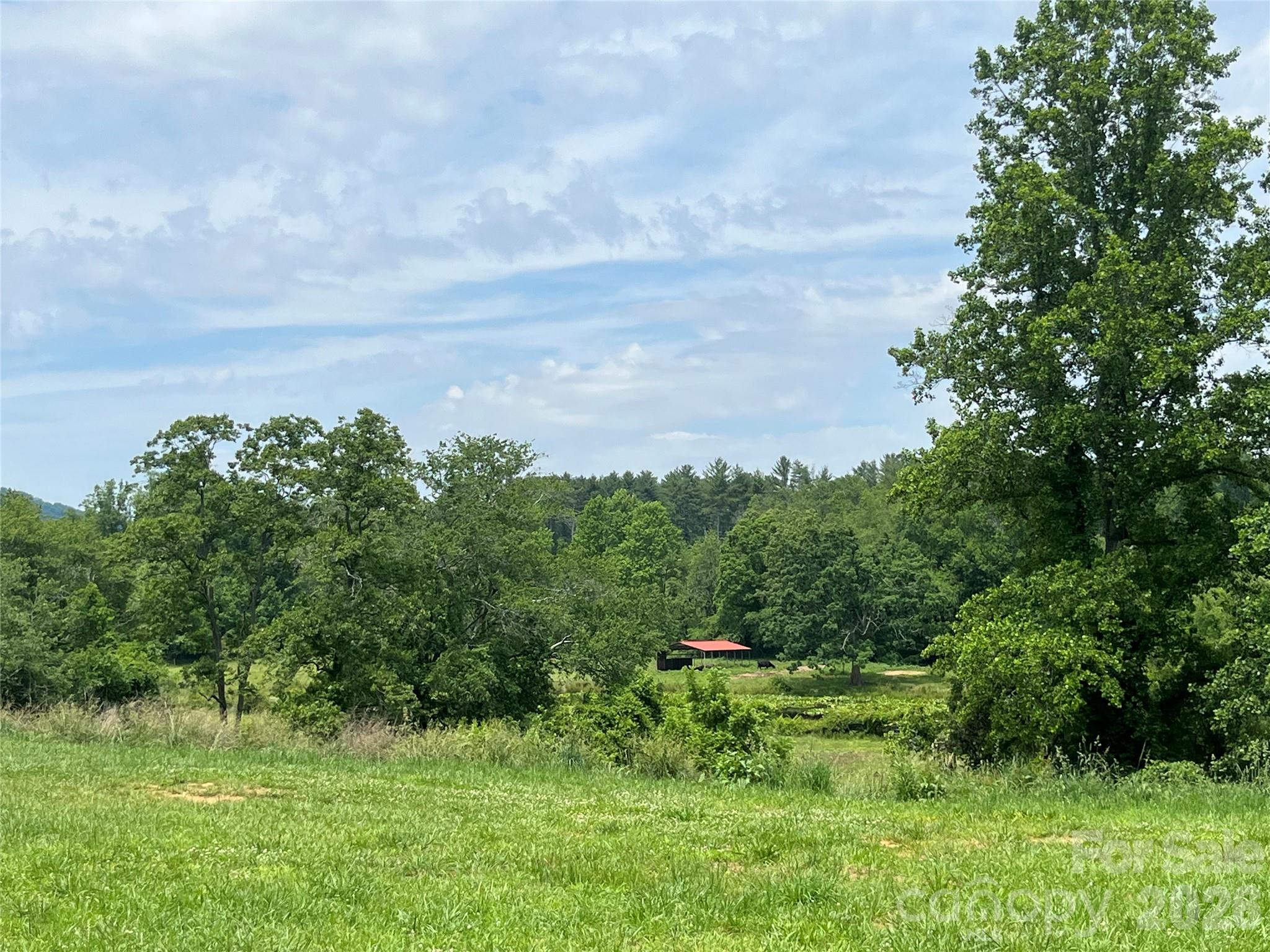 Family Owned Farm for almost 200 years! Level pasture with 1.5 acre pond, year round Pinner Creek, NOT IN FLOOD ZONE. 15 acres +- of pasture, elevated homesite with views overlooking pasture and pond, ideal for  livestock (pigs, sheep, goats, cows, horse, chickens, etc.) Currently under farm taxes. 3 accesses with one to best homesite on Jones Road and two others for farm access on Willis Road. 6 stall horse barn with hay loft, additional run in and tractor shed are all about threes years old. One and one half acre spring fed pond with island lilly pads loved by geese. All of the property is fenced and cross fenced with cattle gates. Unbelievable oasis just off 25 South. Close to Asheville Airport and all of the mega box store shopping and restaurants and all of the amenities associated with south Asheville.
