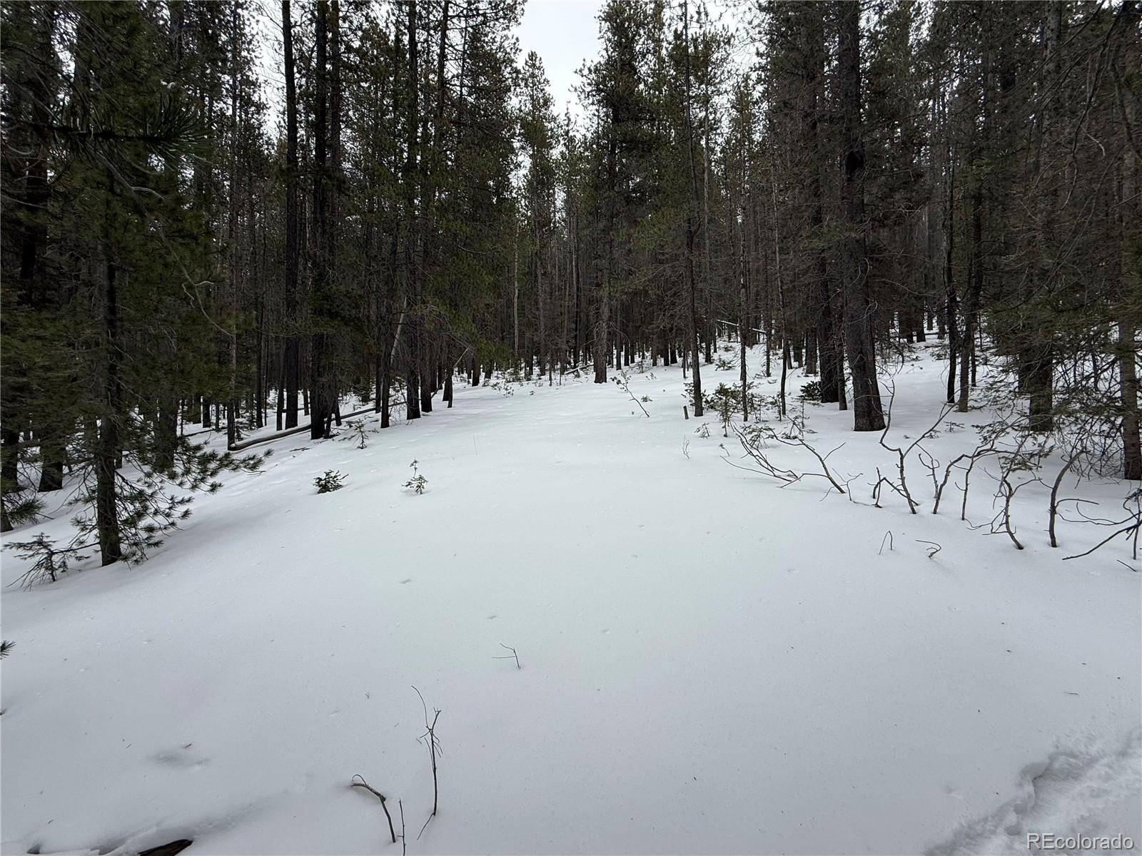 Lot 2806 Moir Drive