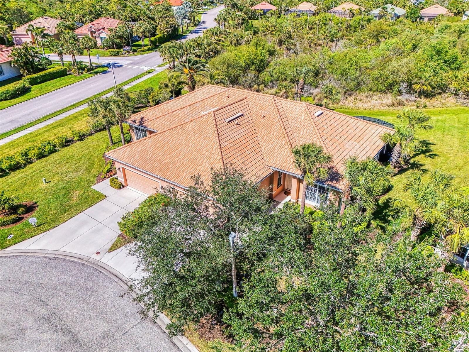2625 Wax Myrtle