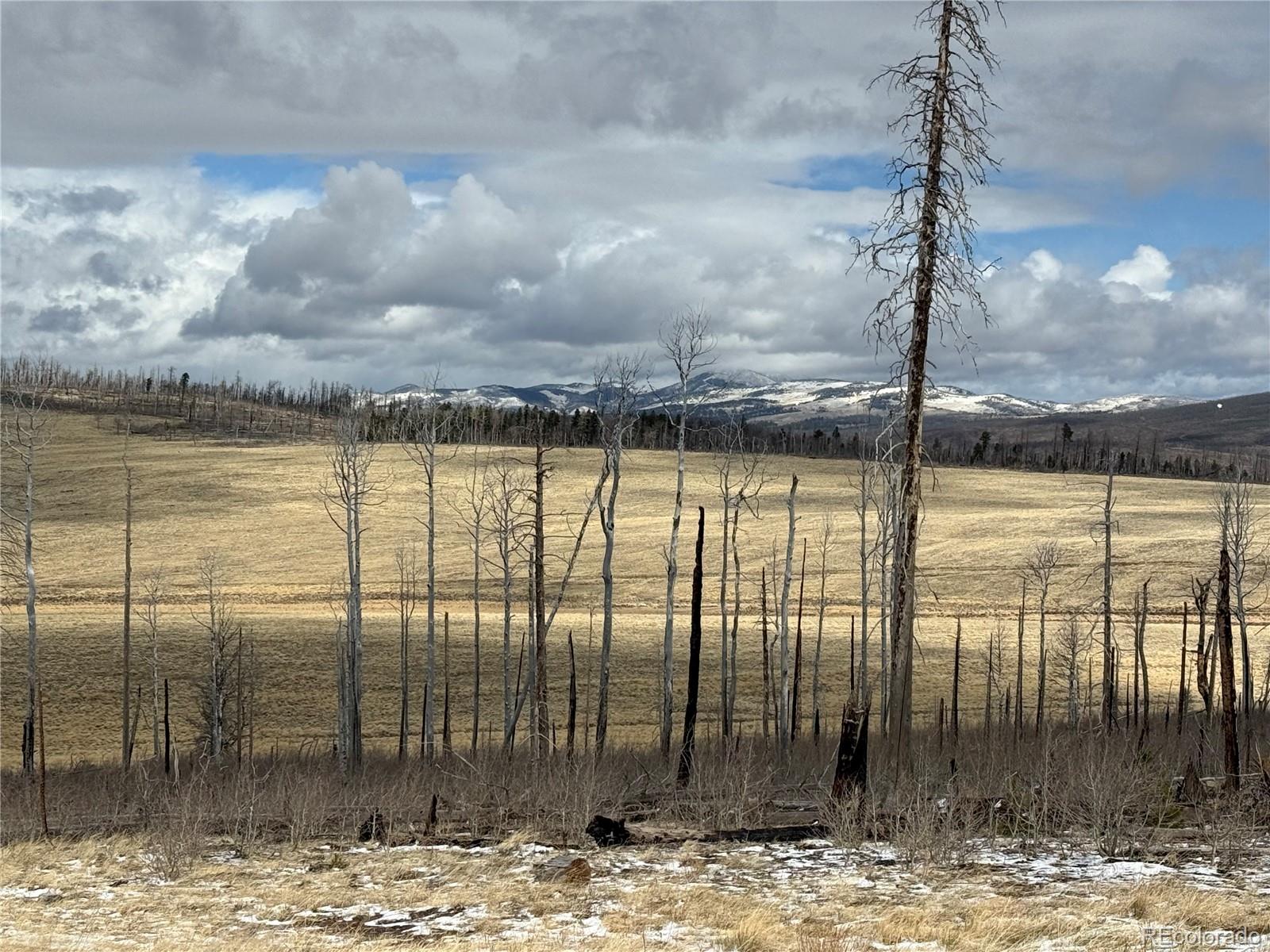 Lot 2415 Petito Drive
