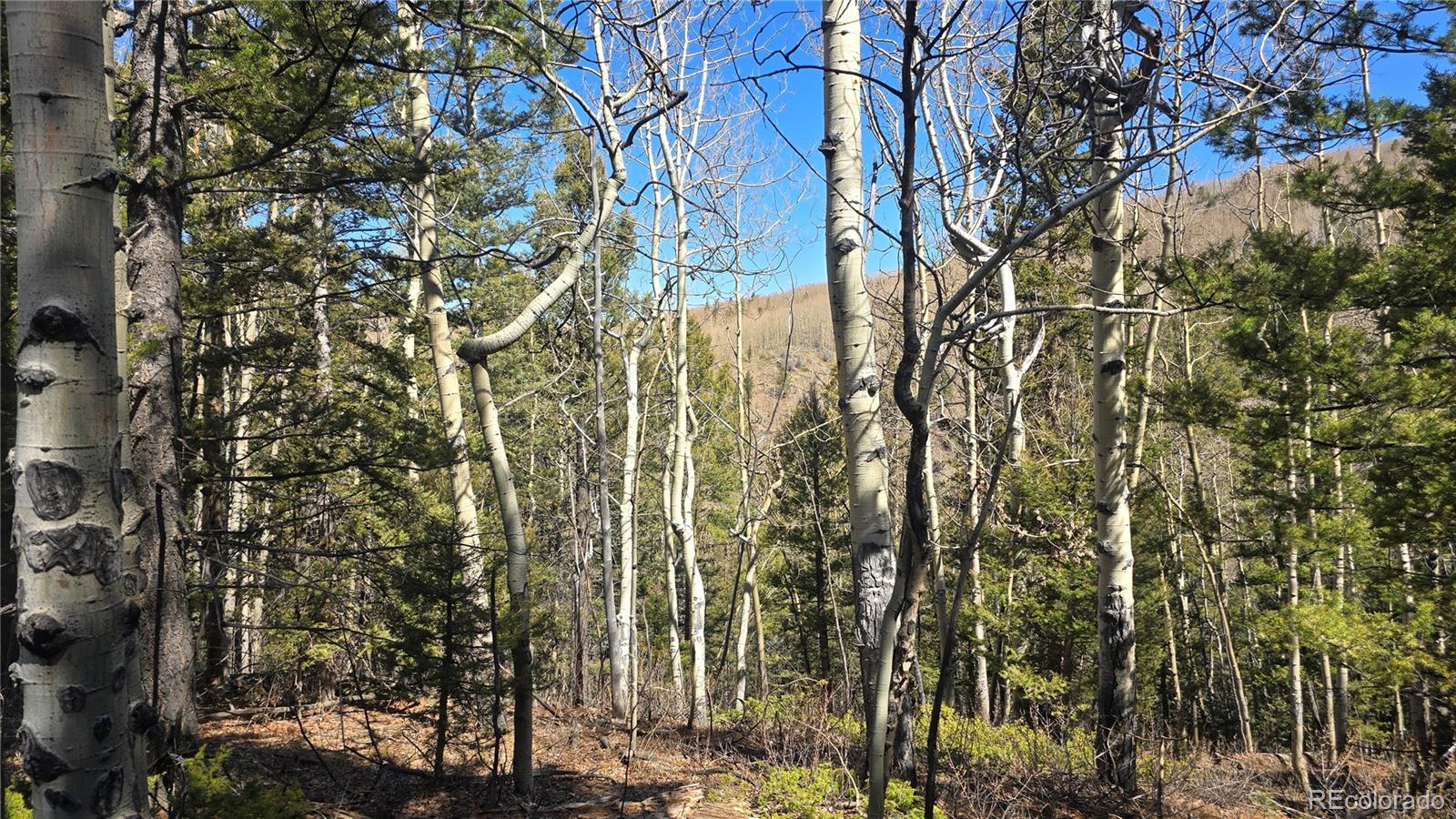 Lot 6708 Debbie Road