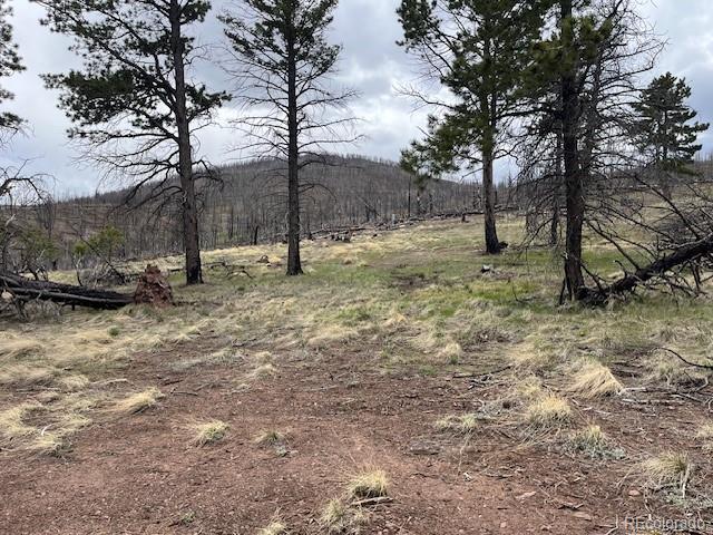 Lot 291 Dany Place