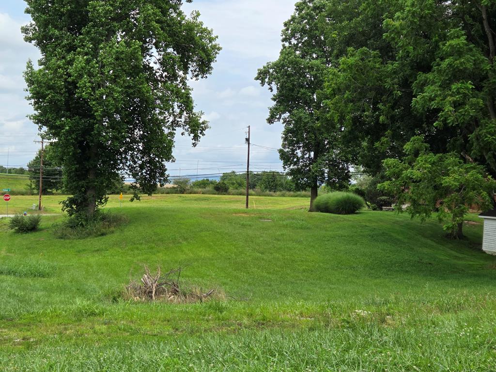 Zoned I2, Industrial General, this lot is conveniently located between Christiansburg and Blacksburg right off of N. Franklin St/Rt460. Road frontage on Boxwood Dr and Palmer Drive. Public utilities, including natural gas, available at the site. No known easements or encroachments incumber the property. Details for zoning allowable uses in documents. Very gentle rolling topography on the site will make development very easy. Great visibility to Route 460 traffic. Residential uses possible with Special Use Permit.