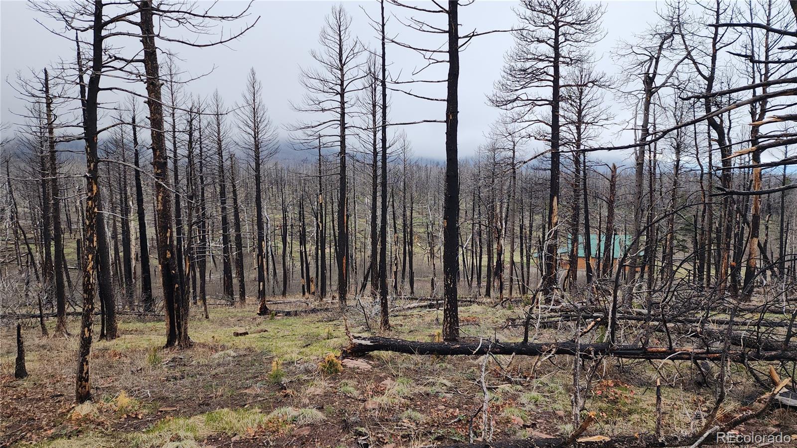 Lot 1735 Mara Loop