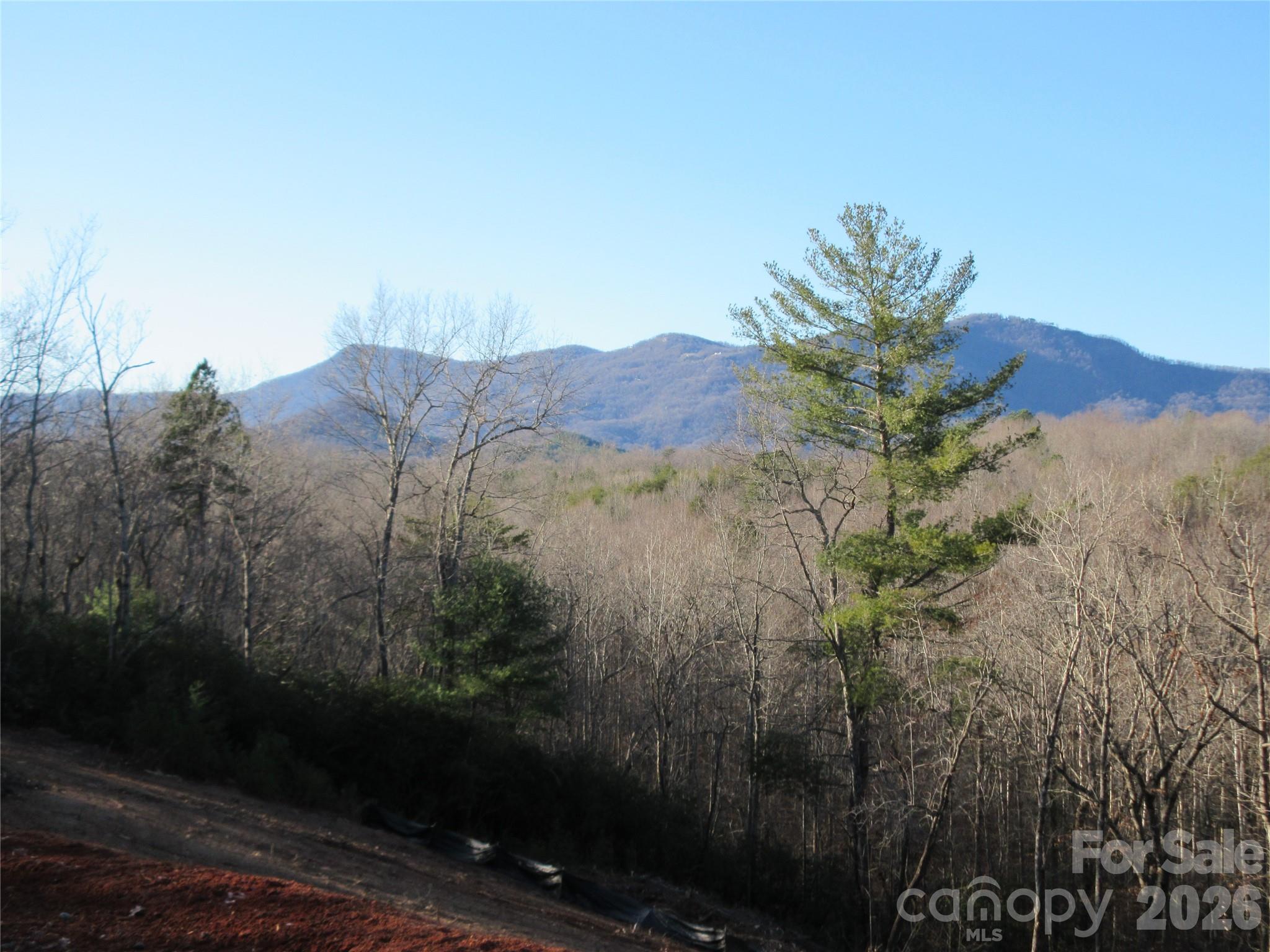 NO WELL NEEDED - NEW WELL INSTALLED IN 2024, producing 4+ gallons per minute!!  Unrestricted 8.03 acres with beautiful mountain views.  Grading/site prep has been completed. Perfect property for year round residence or vacation home.  This unrestricted property is conveniently located, RV's permitted, vacation rentals, whatever best suits your needs!