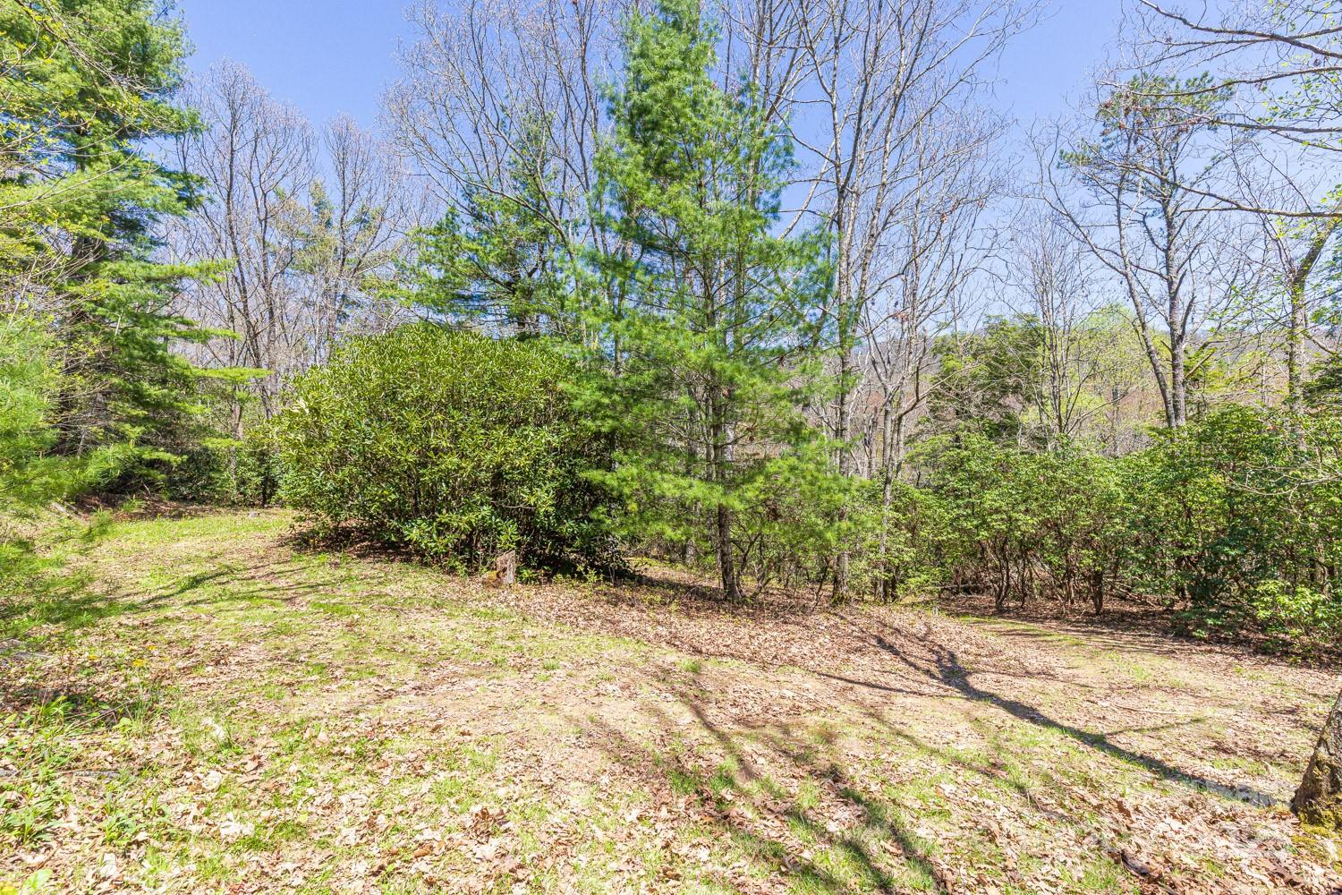 99999 Fairview Forest Drive