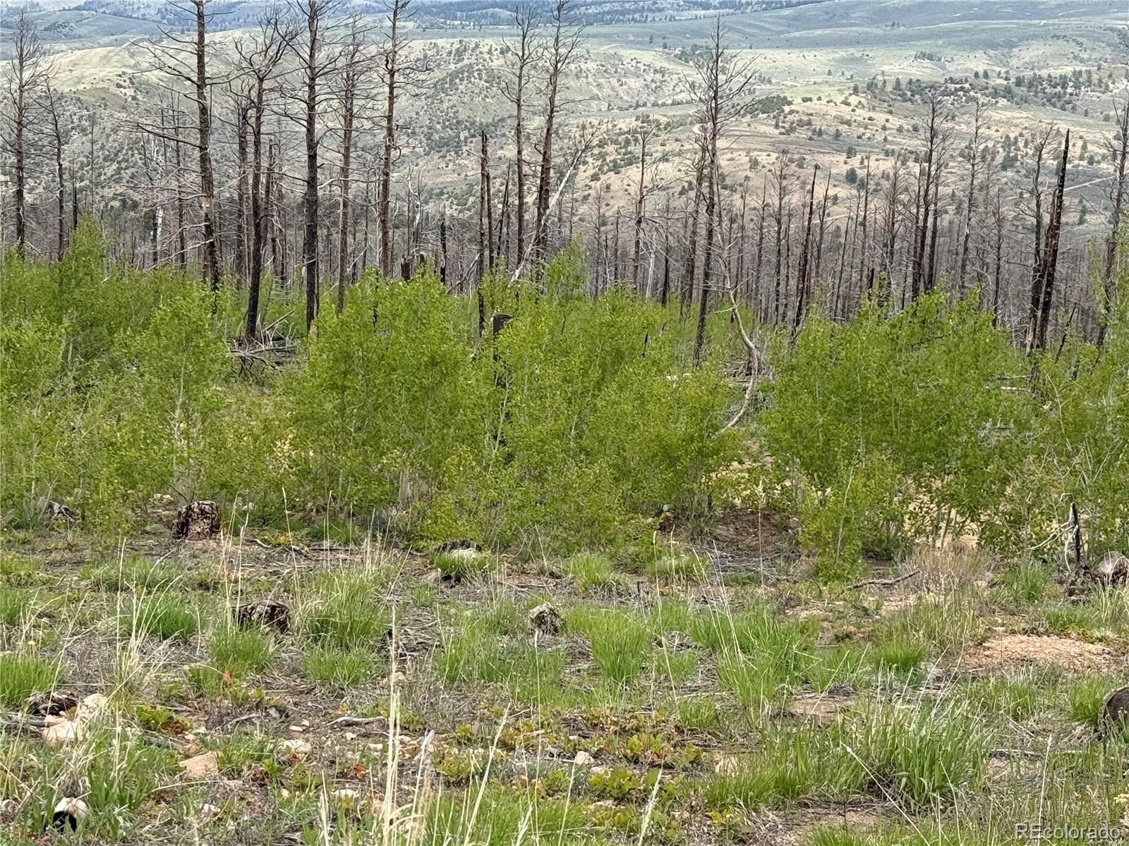 Lot 383 Soubry Place