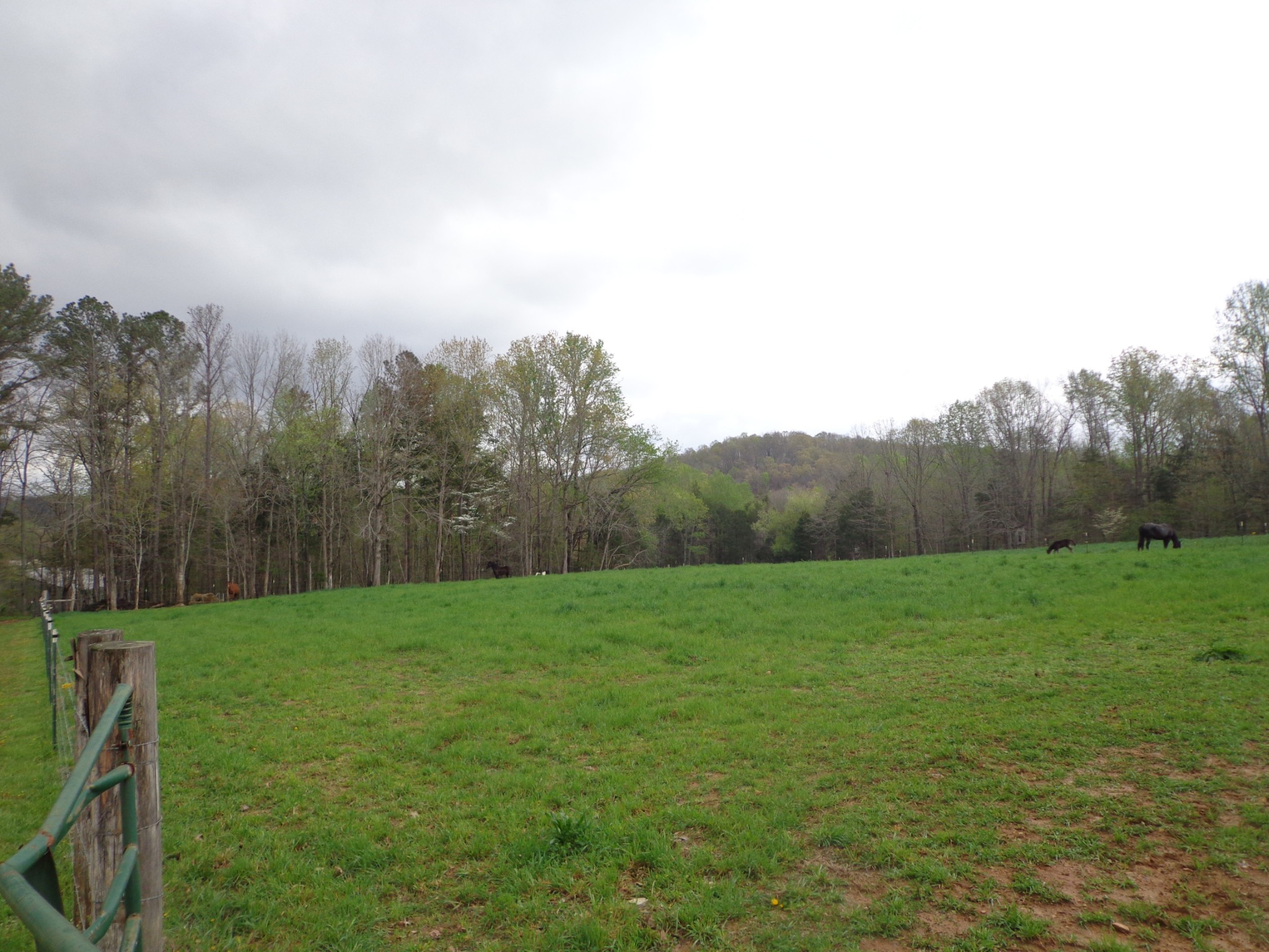 1398 Gilmer Bridge Rd