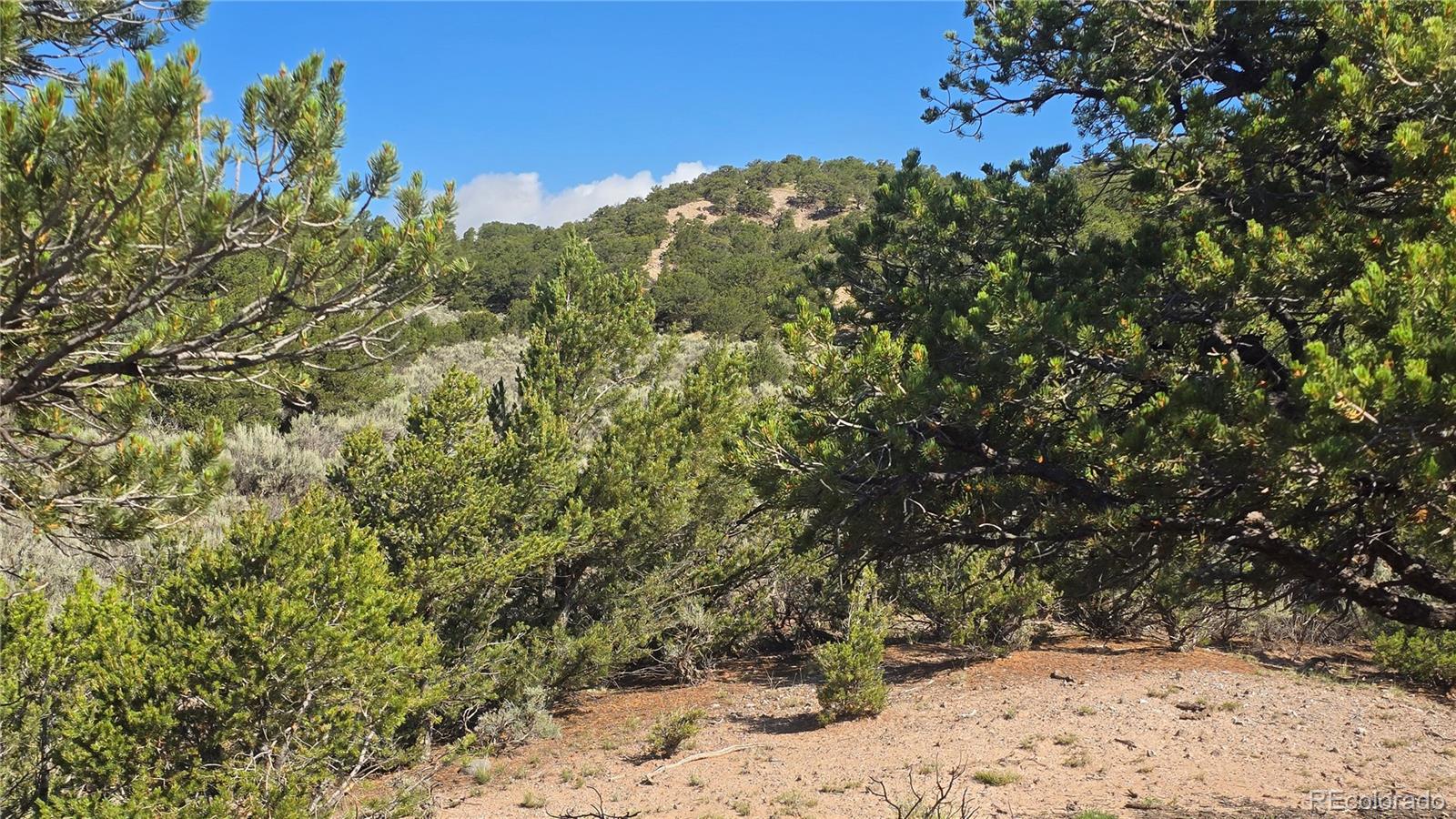 Lot 4296 Renfield Road