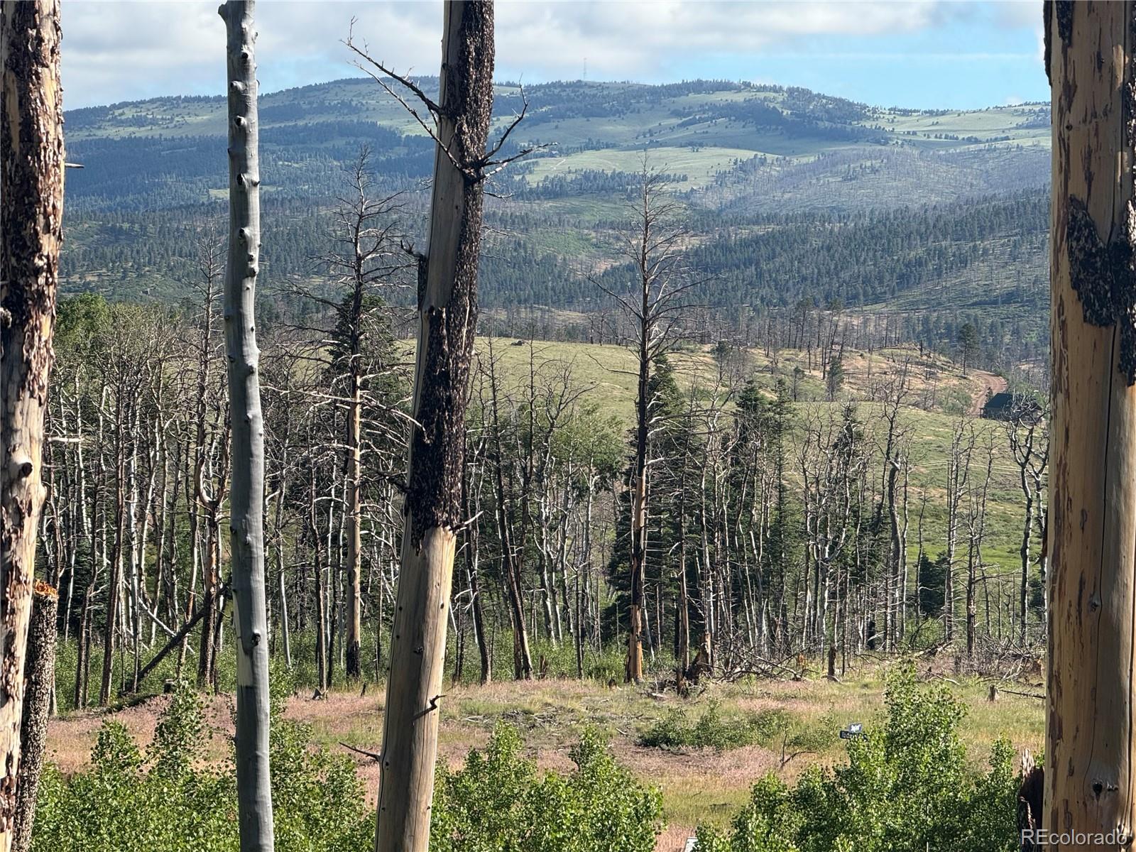 Lot 775 Forbes Park Road