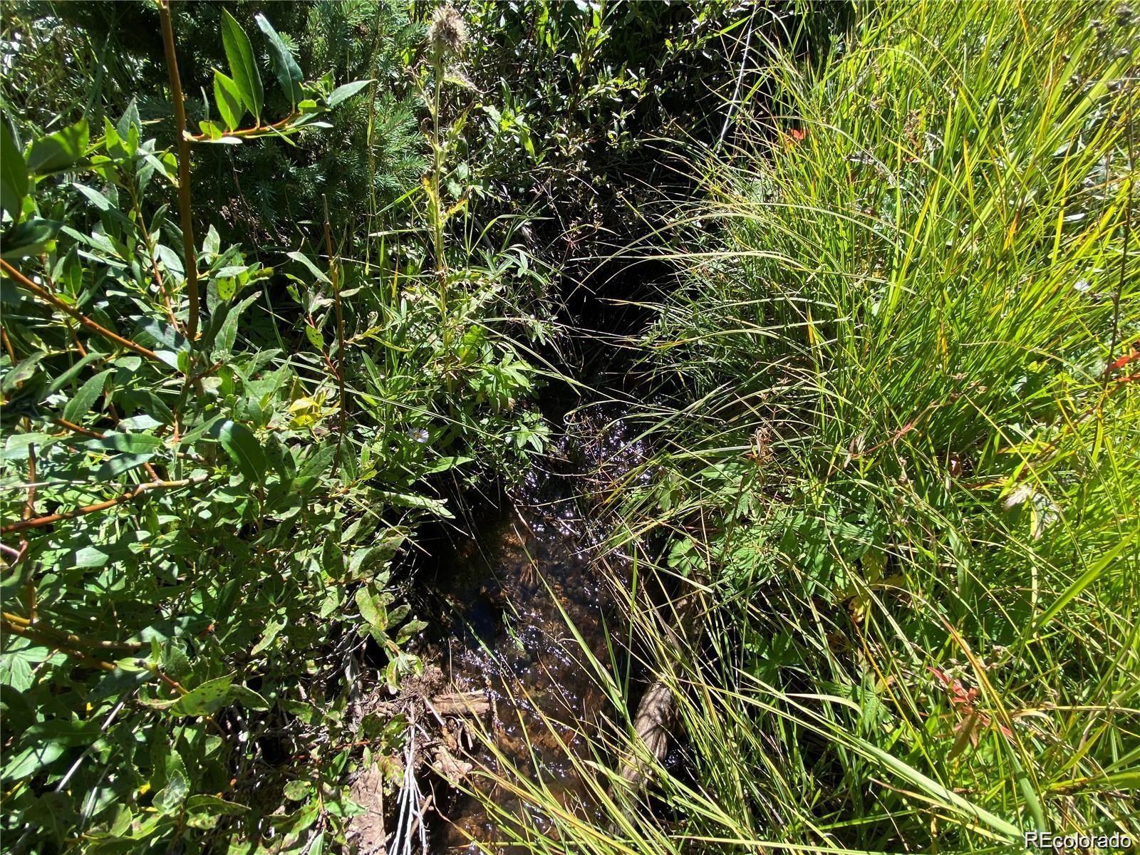 Lot 3141 Forbes Loop Road