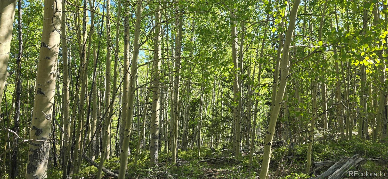 Lot 6708 Debbie Road