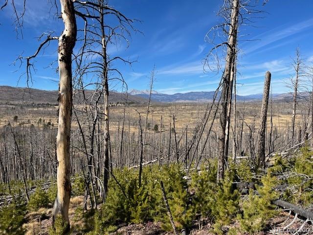 Lot 1741 Mathlide Place