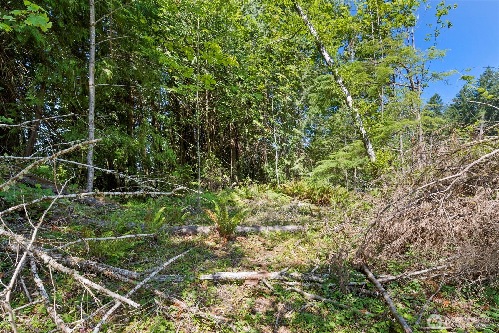 150 E Graham Road
