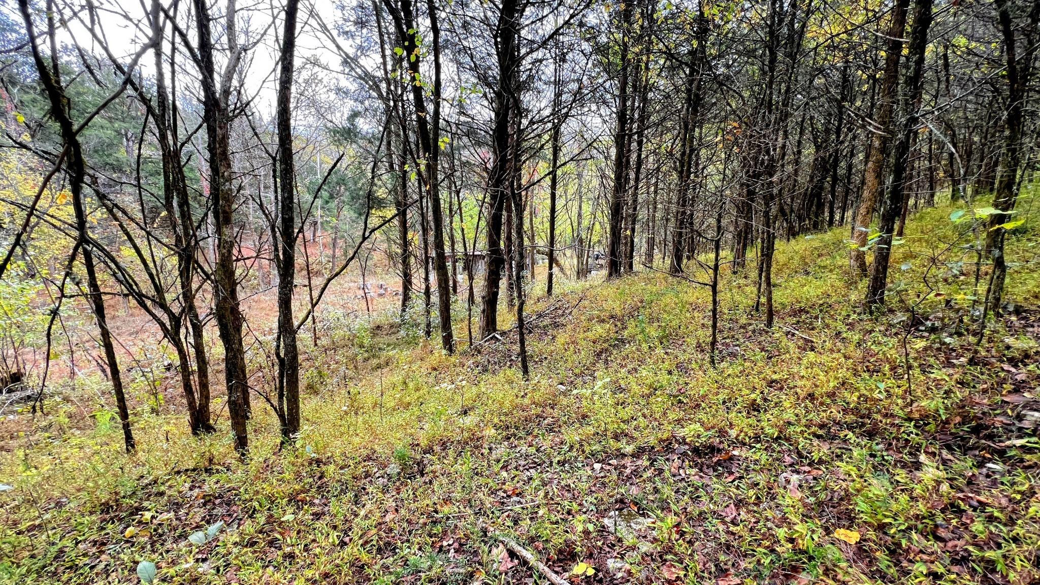 441 Pumpkin Hollow Rd