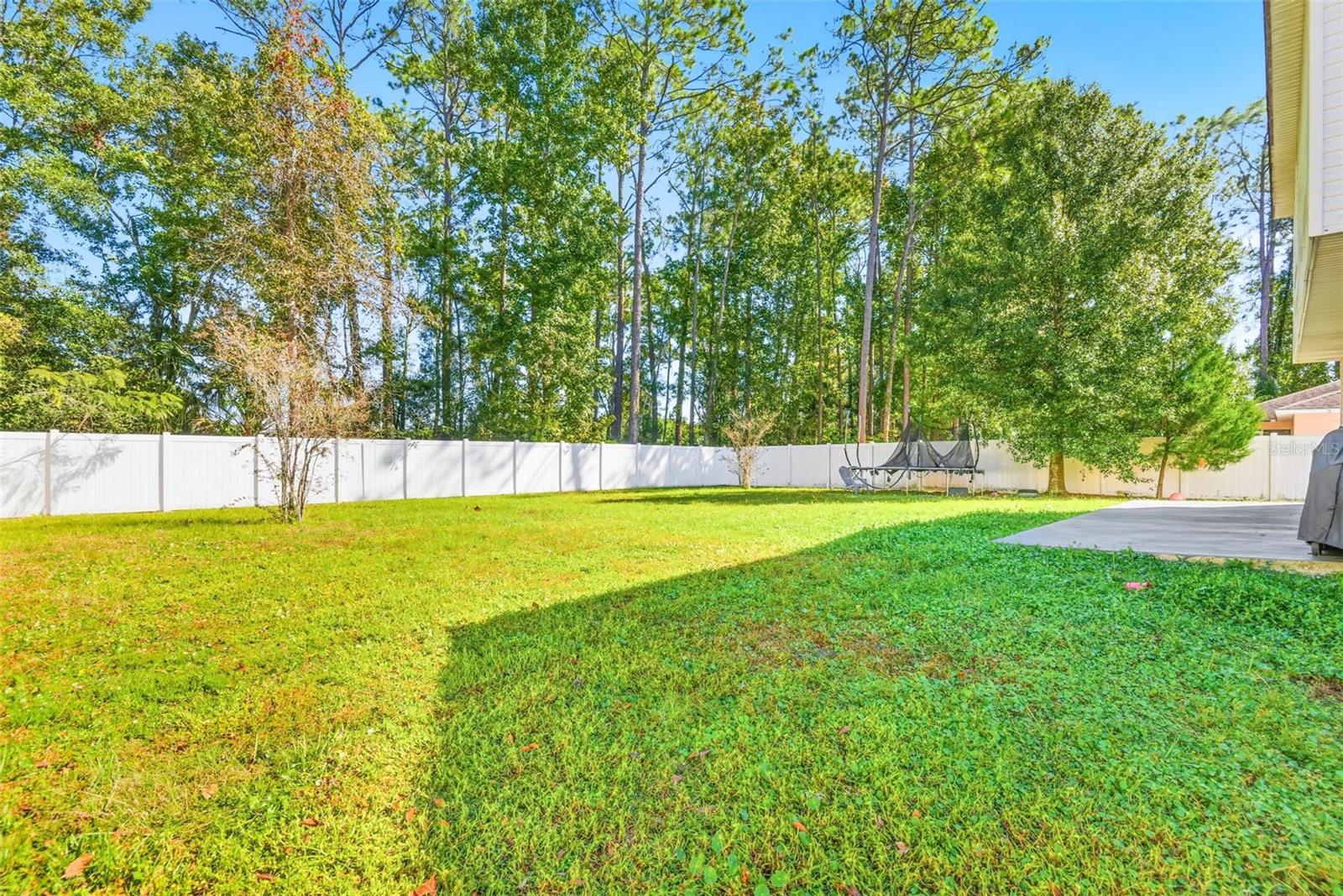 51 Birchwood Drive
