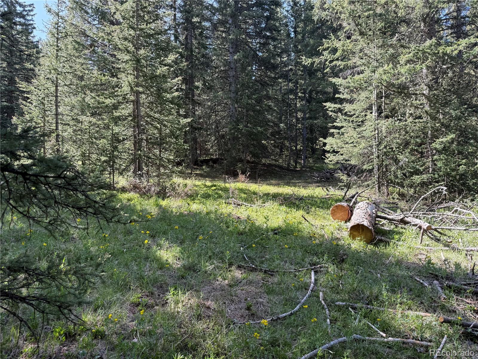 Lot 6843 Ryland Road