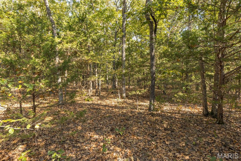 12.5+/- Acres On Effin Road