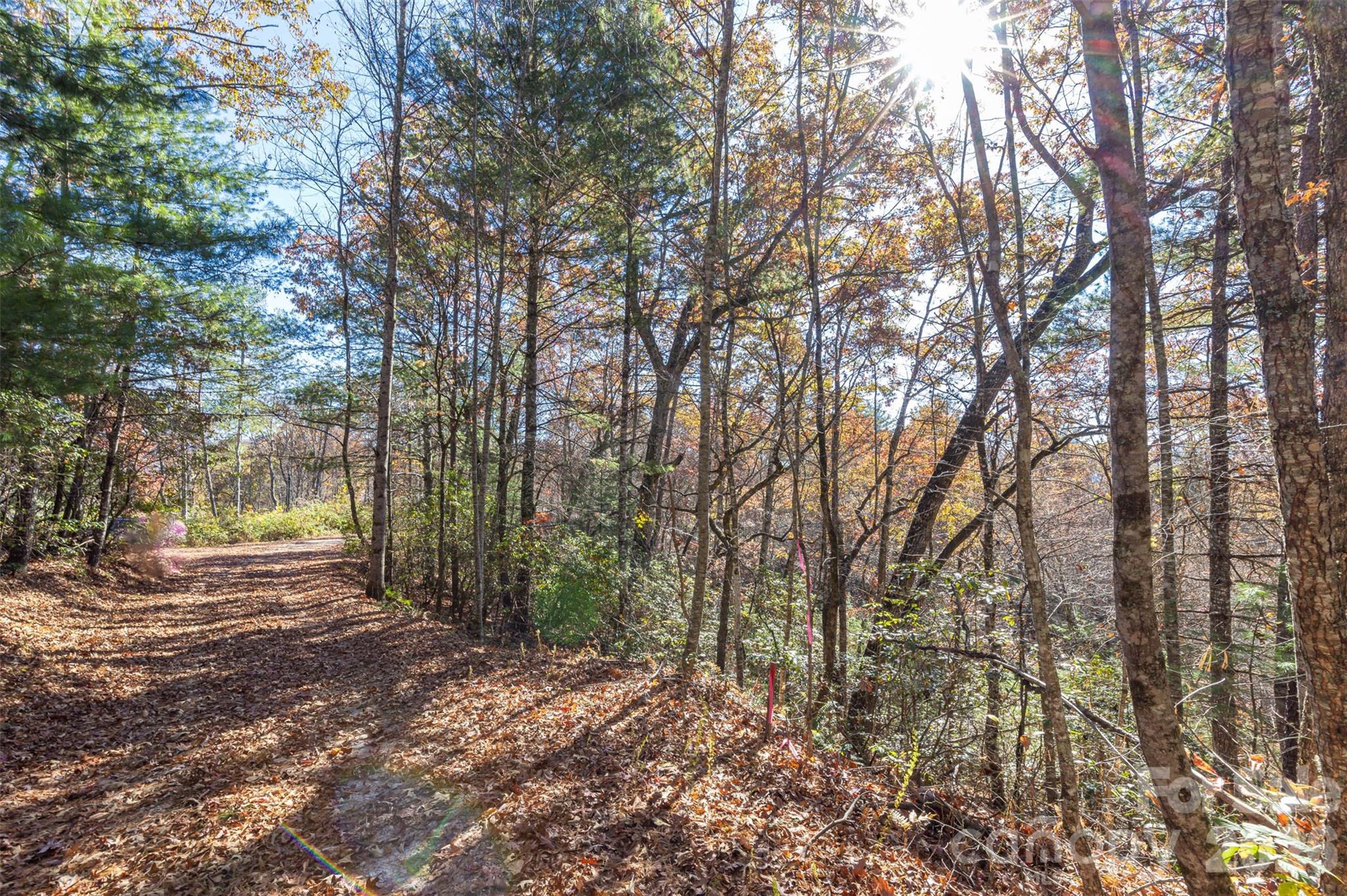 000 Needmore Road