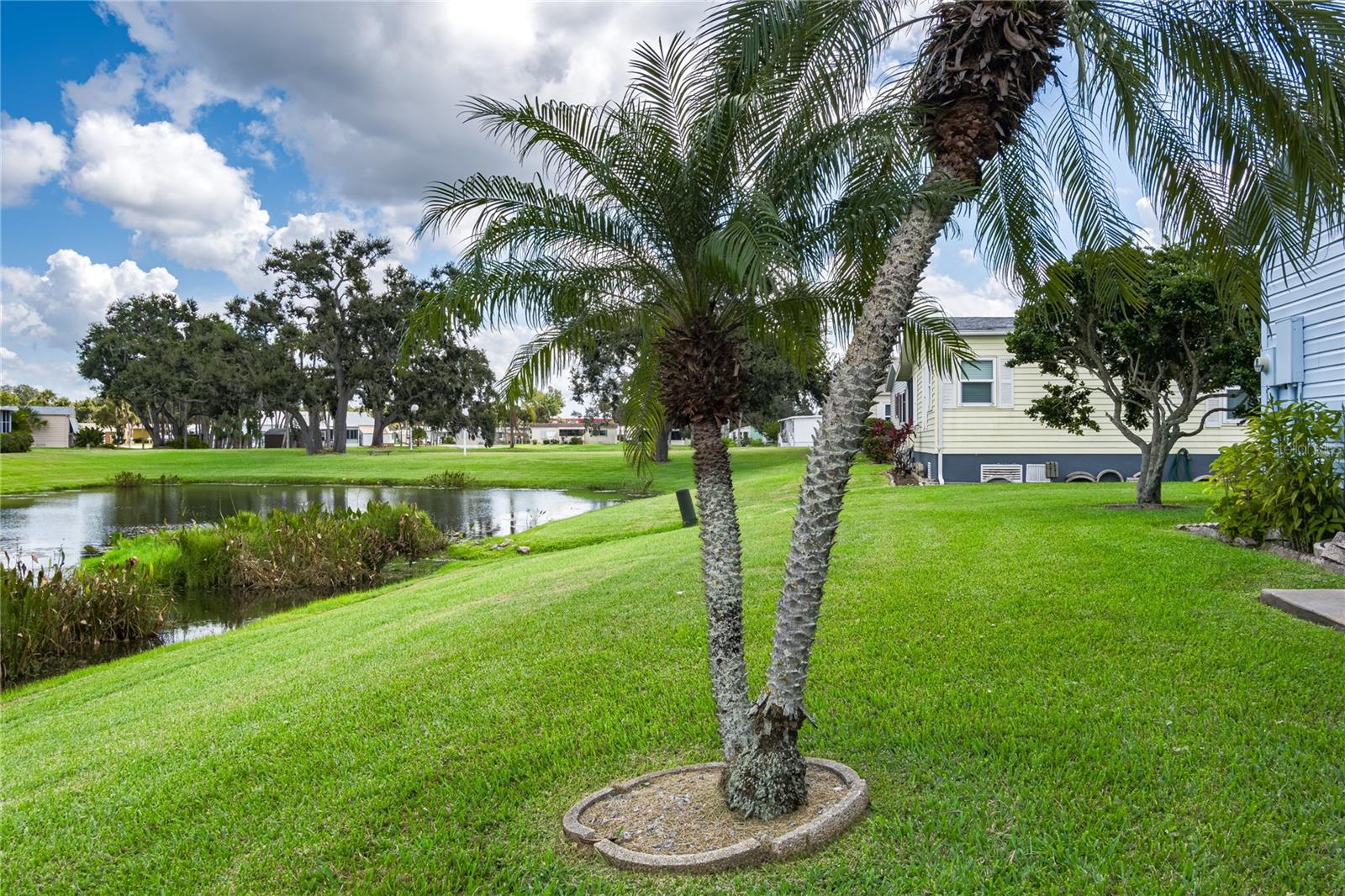 120 Mockingbird Lane