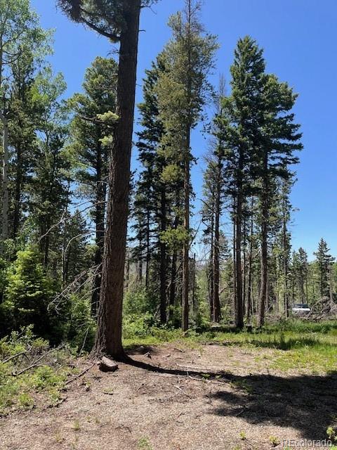 Lot 2449 Petito Drive