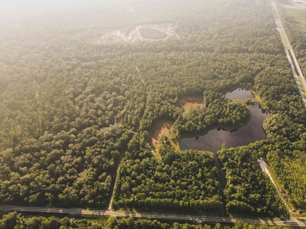 Outdoor Enthusiasts  Paradaise!  Stunning gated  89-acre riverfront property, the ultimate retreat, breathtaking river frontage and abundant natural beauty.   Whether an avid fisherman, hunter, or simply seeking tranquility, this property offers it all.                                                                                                                                                                                                                                                  89 acres of pristine landscape, providing ample space for outdoor activities and future development.  Enjoy private access to scenic Ocklocknee River, perfect for fishing, kayaking, and peaceful riverfront views.  Ideal for fishing, hunting, hiking and exploring wildlife in their natural habitat. Two additional ponds, (one with additional elevated well is perfect for home or campsite)and open pastures, perfect for horses!  A peaceful haven away from the hustle and bustle, but close and convenient for shopping, dinning and cultural experiences  of Downtown Thomasville, offering the perfect blend of serenity and adventure. Cozy stilted cabin atop a bluff which includes 1,068SqFt, 2 bedrooms 1 bath, features enormous open living space with kitchen dining and family room all focused on  remarkable river views.  Complete with wrap around deck, and parking underneath.  Don't miss the unique opportunity to own a piece of paradise!  Contact us today for more details and to schedule a tour.