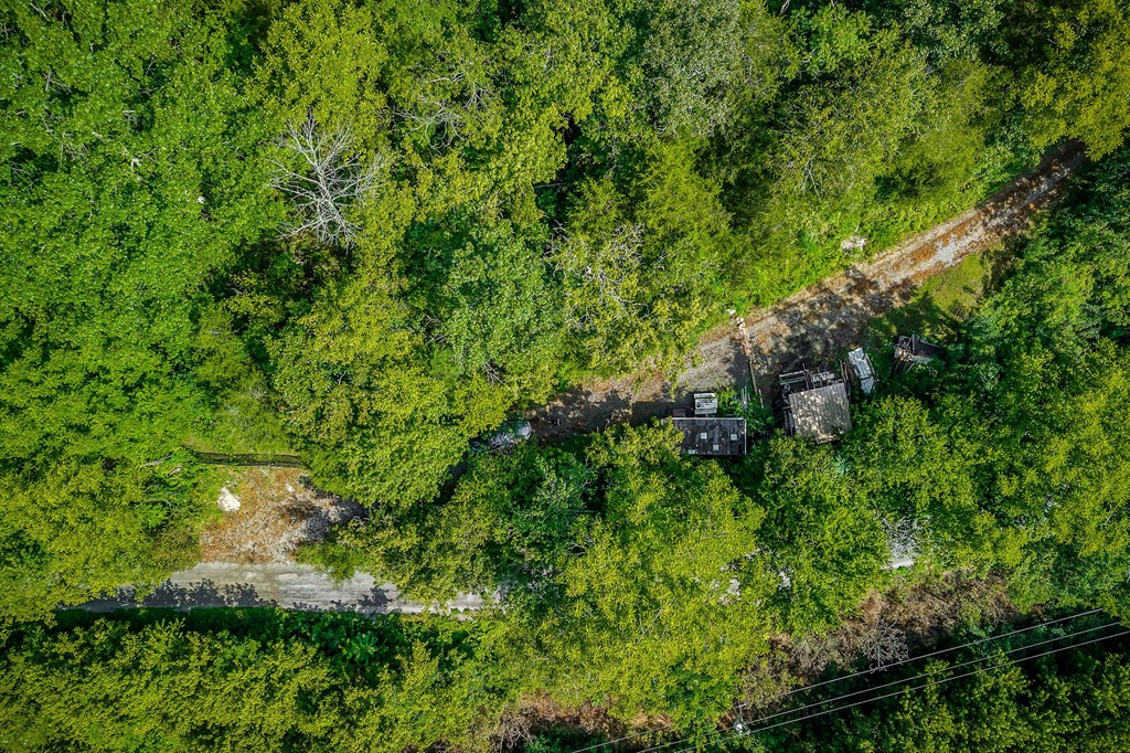 392 Possum Hollow Rd