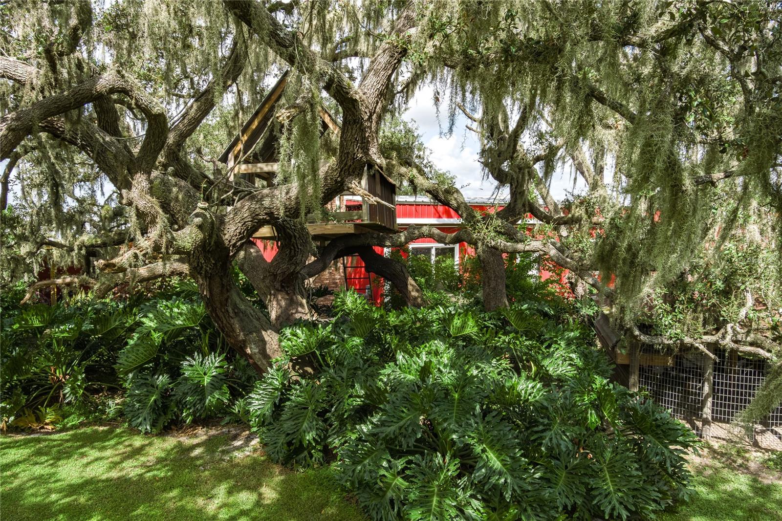 1126 County Road 665